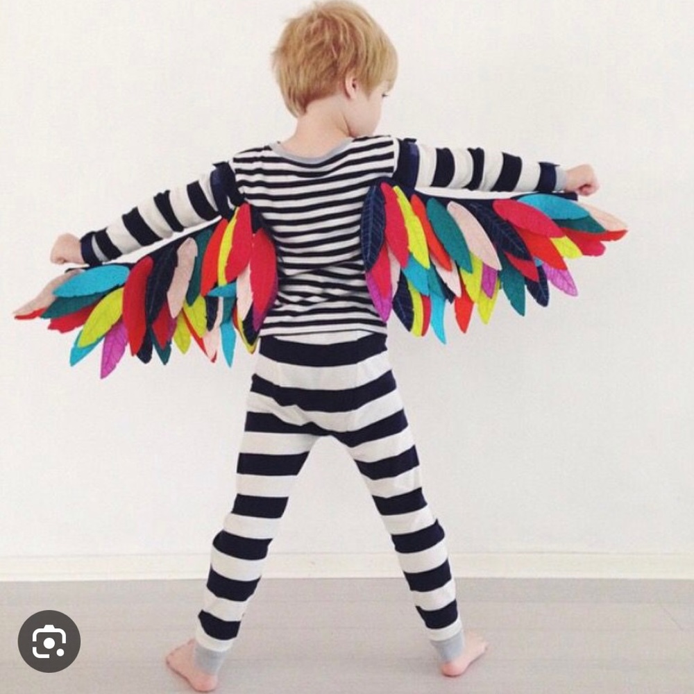 Land of Nod (Crate & Kids) Fantastical Dress-up wings and beak